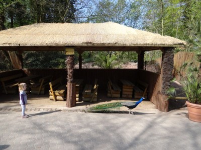 Safari Lodge